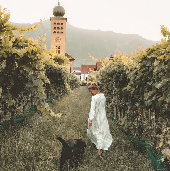 5 days in Lana - somewhere in South Tyrol in the middle of the vineyards